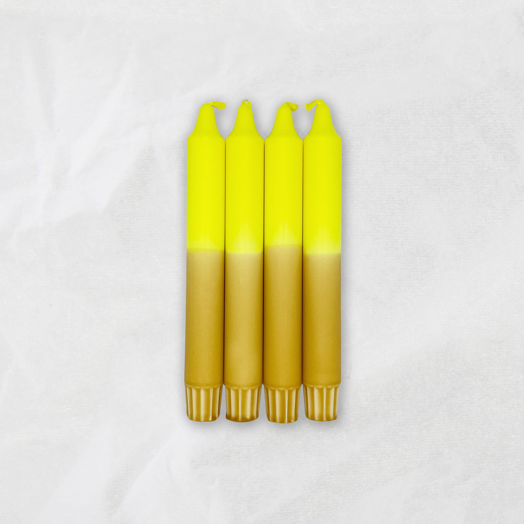 Bright Yellow x Lemon Curry / 19 cm / 4er Set